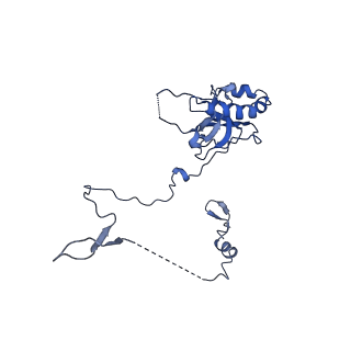 36178_8jdj_K_v1-1
Structure of the Human cytoplasmic Ribosome with human tRNA Asp(Q34) and mRNA(GAU)