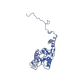 36178_8jdj_M_v1-1
Structure of the Human cytoplasmic Ribosome with human tRNA Asp(Q34) and mRNA(GAU)