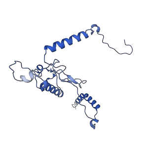 36178_8jdj_Q_v1-1
Structure of the Human cytoplasmic Ribosome with human tRNA Asp(Q34) and mRNA(GAU)
