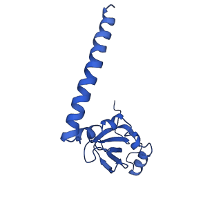 36178_8jdj_R_v1-1
Structure of the Human cytoplasmic Ribosome with human tRNA Asp(Q34) and mRNA(GAU)