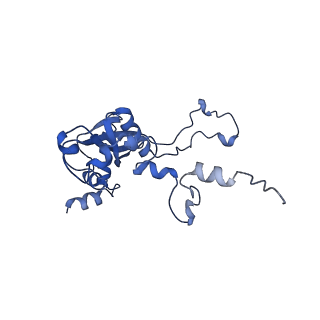 36178_8jdj_S_v1-1
Structure of the Human cytoplasmic Ribosome with human tRNA Asp(Q34) and mRNA(GAU)