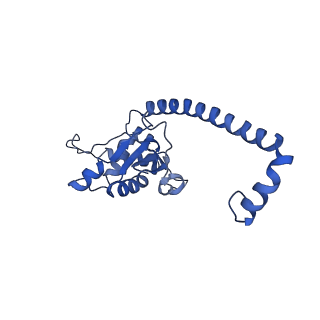 36178_8jdj_T_v1-1
Structure of the Human cytoplasmic Ribosome with human tRNA Asp(Q34) and mRNA(GAU)
