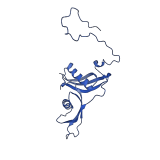 36178_8jdj_X_v1-1
Structure of the Human cytoplasmic Ribosome with human tRNA Asp(Q34) and mRNA(GAU)