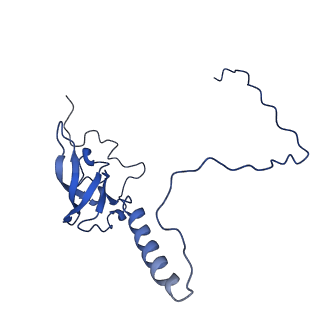36178_8jdj_Y_v1-1
Structure of the Human cytoplasmic Ribosome with human tRNA Asp(Q34) and mRNA(GAU)