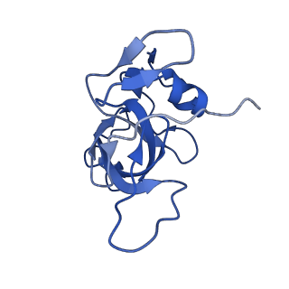 36178_8jdj_a_v1-1
Structure of the Human cytoplasmic Ribosome with human tRNA Asp(Q34) and mRNA(GAU)