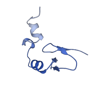 36178_8jdj_b_v1-1
Structure of the Human cytoplasmic Ribosome with human tRNA Asp(Q34) and mRNA(GAU)