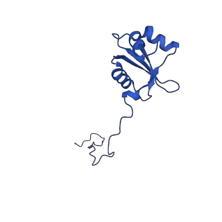 36178_8jdj_c_v1-1
Structure of the Human cytoplasmic Ribosome with human tRNA Asp(Q34) and mRNA(GAU)