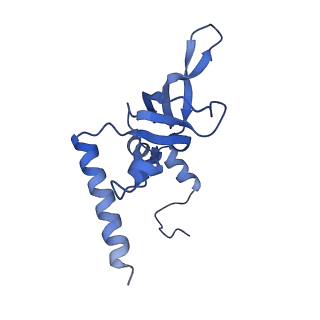 36178_8jdj_d_v1-1
Structure of the Human cytoplasmic Ribosome with human tRNA Asp(Q34) and mRNA(GAU)