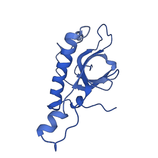36178_8jdj_e_v1-1
Structure of the Human cytoplasmic Ribosome with human tRNA Asp(Q34) and mRNA(GAU)