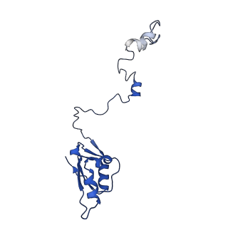 36178_8jdj_f_v1-1
Structure of the Human cytoplasmic Ribosome with human tRNA Asp(Q34) and mRNA(GAU)