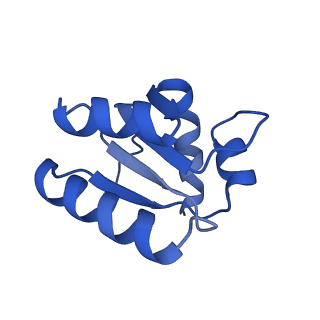 36178_8jdj_h_v1-1
Structure of the Human cytoplasmic Ribosome with human tRNA Asp(Q34) and mRNA(GAU)
