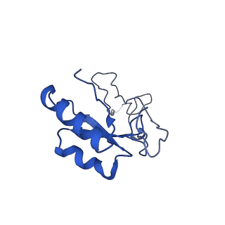 36178_8jdj_j_v1-1
Structure of the Human cytoplasmic Ribosome with human tRNA Asp(Q34) and mRNA(GAU)
