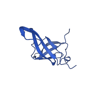 36178_8jdj_k_v1-1
Structure of the Human cytoplasmic Ribosome with human tRNA Asp(Q34) and mRNA(GAU)