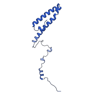 36178_8jdj_m_v1-1
Structure of the Human cytoplasmic Ribosome with human tRNA Asp(Q34) and mRNA(GAU)