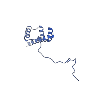 36178_8jdj_n_v1-1
Structure of the Human cytoplasmic Ribosome with human tRNA Asp(Q34) and mRNA(GAU)