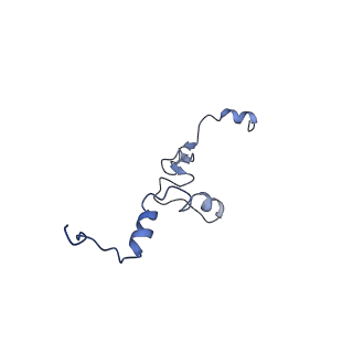 36178_8jdj_o_v1-1
Structure of the Human cytoplasmic Ribosome with human tRNA Asp(Q34) and mRNA(GAU)