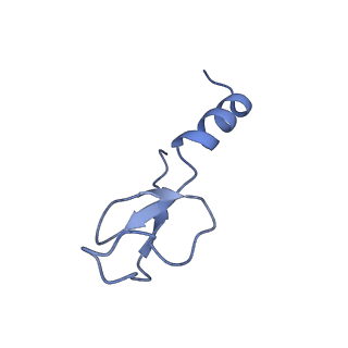 36178_8jdj_r_v1-1
Structure of the Human cytoplasmic Ribosome with human tRNA Asp(Q34) and mRNA(GAU)