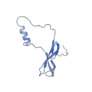 36178_8jdj_t_v1-1
Structure of the Human cytoplasmic Ribosome with human tRNA Asp(Q34) and mRNA(GAU)