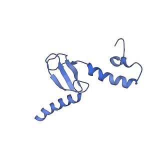 36178_8jdj_u_v1-1
Structure of the Human cytoplasmic Ribosome with human tRNA Asp(Q34) and mRNA(GAU)