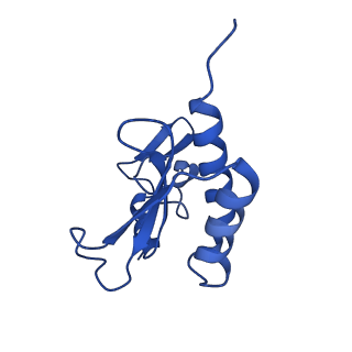 36178_8jdj_v_v1-1
Structure of the Human cytoplasmic Ribosome with human tRNA Asp(Q34) and mRNA(GAU)