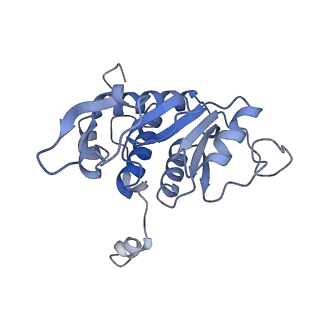 36178_8jdj_x_v1-1
Structure of the Human cytoplasmic Ribosome with human tRNA Asp(Q34) and mRNA(GAU)