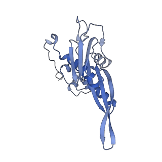 36178_8jdj_z_v1-1
Structure of the Human cytoplasmic Ribosome with human tRNA Asp(Q34) and mRNA(GAU)