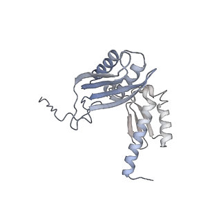 36181_8jdm_0_v1-1
Structure of the Human cytoplasmic Ribosome with human tRNA Tyr(GalQ34) and mRNA(UAU) (rotated state)