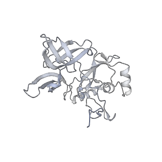 36181_8jdm_1_v1-1
Structure of the Human cytoplasmic Ribosome with human tRNA Tyr(GalQ34) and mRNA(UAU) (rotated state)