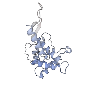 36181_8jdm_2_v1-1
Structure of the Human cytoplasmic Ribosome with human tRNA Tyr(GalQ34) and mRNA(UAU) (rotated state)