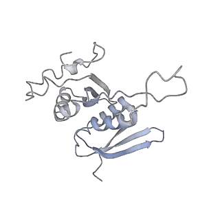 36181_8jdm_4_v1-1
Structure of the Human cytoplasmic Ribosome with human tRNA Tyr(GalQ34) and mRNA(UAU) (rotated state)