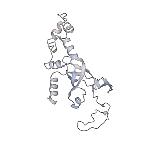 36181_8jdm_5_v1-1
Structure of the Human cytoplasmic Ribosome with human tRNA Tyr(GalQ34) and mRNA(UAU) (rotated state)
