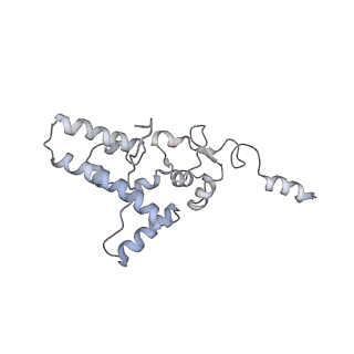 36181_8jdm_6_v1-1
Structure of the Human cytoplasmic Ribosome with human tRNA Tyr(GalQ34) and mRNA(UAU) (rotated state)