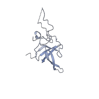 36181_8jdm_8_v1-1
Structure of the Human cytoplasmic Ribosome with human tRNA Tyr(GalQ34) and mRNA(UAU) (rotated state)