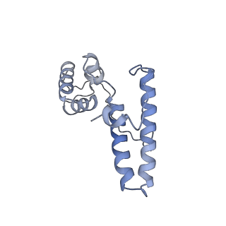 36181_8jdm_9_v1-1
Structure of the Human cytoplasmic Ribosome with human tRNA Tyr(GalQ34) and mRNA(UAU) (rotated state)