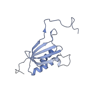 36181_8jdm_AA_v1-1
Structure of the Human cytoplasmic Ribosome with human tRNA Tyr(GalQ34) and mRNA(UAU) (rotated state)
