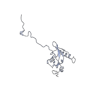 36181_8jdm_AB_v1-1
Structure of the Human cytoplasmic Ribosome with human tRNA Tyr(GalQ34) and mRNA(UAU) (rotated state)