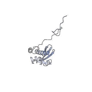36181_8jdm_AC_v1-1
Structure of the Human cytoplasmic Ribosome with human tRNA Tyr(GalQ34) and mRNA(UAU) (rotated state)