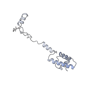 36181_8jdm_AD_v1-1
Structure of the Human cytoplasmic Ribosome with human tRNA Tyr(GalQ34) and mRNA(UAU) (rotated state)