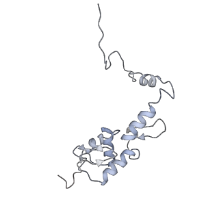 36181_8jdm_AE_v1-1
Structure of the Human cytoplasmic Ribosome with human tRNA Tyr(GalQ34) and mRNA(UAU) (rotated state)
