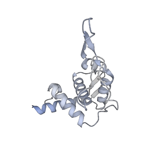 36181_8jdm_AF_v1-1
Structure of the Human cytoplasmic Ribosome with human tRNA Tyr(GalQ34) and mRNA(UAU) (rotated state)
