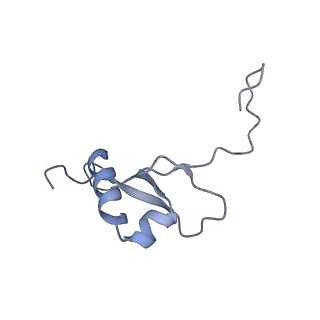 36181_8jdm_AH_v1-1
Structure of the Human cytoplasmic Ribosome with human tRNA Tyr(GalQ34) and mRNA(UAU) (rotated state)