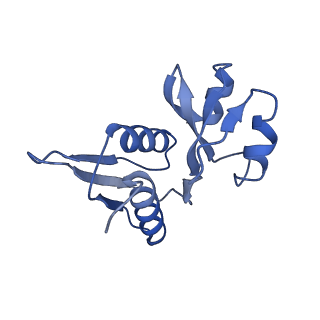 36181_8jdm_AI_v1-1
Structure of the Human cytoplasmic Ribosome with human tRNA Tyr(GalQ34) and mRNA(UAU) (rotated state)