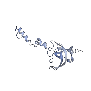 36181_8jdm_AJ_v1-1
Structure of the Human cytoplasmic Ribosome with human tRNA Tyr(GalQ34) and mRNA(UAU) (rotated state)