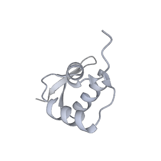 36181_8jdm_AL_v1-1
Structure of the Human cytoplasmic Ribosome with human tRNA Tyr(GalQ34) and mRNA(UAU) (rotated state)