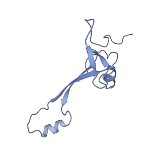 36181_8jdm_AM_v1-1
Structure of the Human cytoplasmic Ribosome with human tRNA Tyr(GalQ34) and mRNA(UAU) (rotated state)