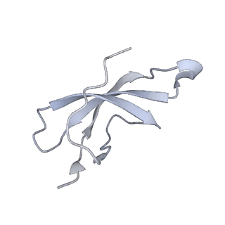36181_8jdm_AO_v1-1
Structure of the Human cytoplasmic Ribosome with human tRNA Tyr(GalQ34) and mRNA(UAU) (rotated state)