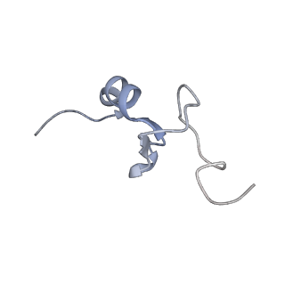 36181_8jdm_AP_v1-1
Structure of the Human cytoplasmic Ribosome with human tRNA Tyr(GalQ34) and mRNA(UAU) (rotated state)
