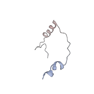 36181_8jdm_AQ_v1-1
Structure of the Human cytoplasmic Ribosome with human tRNA Tyr(GalQ34) and mRNA(UAU) (rotated state)
