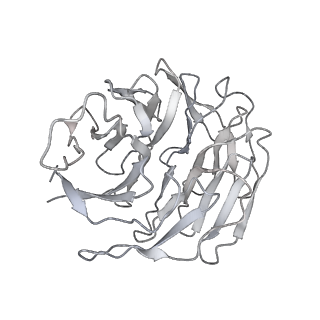 36181_8jdm_AR_v1-1
Structure of the Human cytoplasmic Ribosome with human tRNA Tyr(GalQ34) and mRNA(UAU) (rotated state)