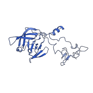 36181_8jdm_G_v1-1
Structure of the Human cytoplasmic Ribosome with human tRNA Tyr(GalQ34) and mRNA(UAU) (rotated state)